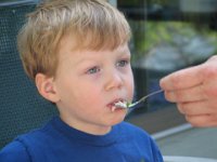 COTTAGE JULY06 086.JPG